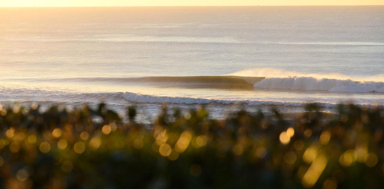 The Spot Surfcamp Otel Biscarrosse Dış mekan fotoğraf